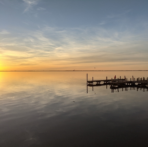 Meet your Posher, Meha - Picture 1 of 1